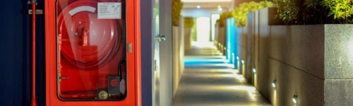 Foto link a la sección de Red Húmeda o Seca